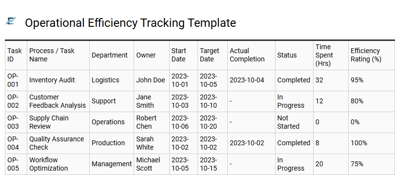 Operational Efficiency Tracking Template