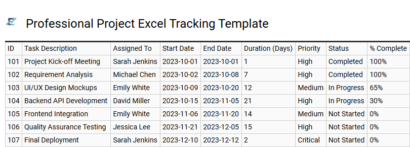 Professional Project Excel Tracking Template