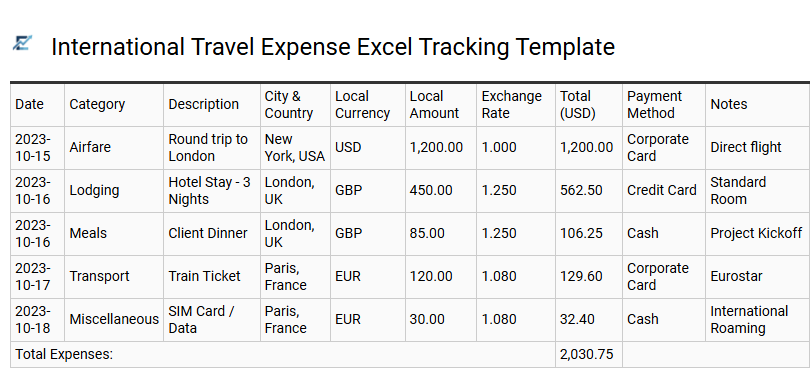 International Travel Expense Excel Tracking Template