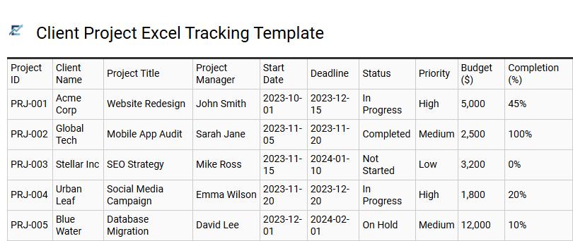 Client Project Excel Tracking Template